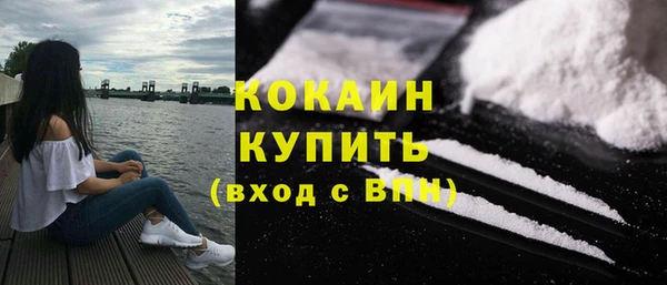 кокс Инсар