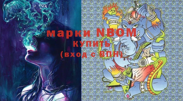 кокс Инсар