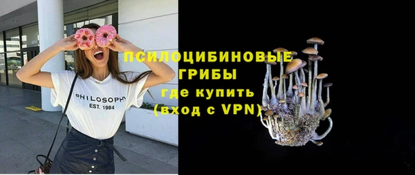 кокс Инсар