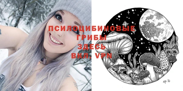 кокс Инсар