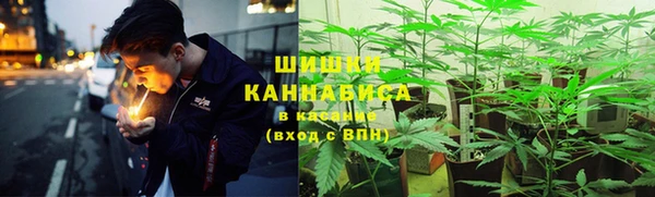 кокс Инсар