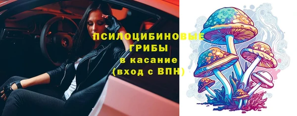 кокс Инсар